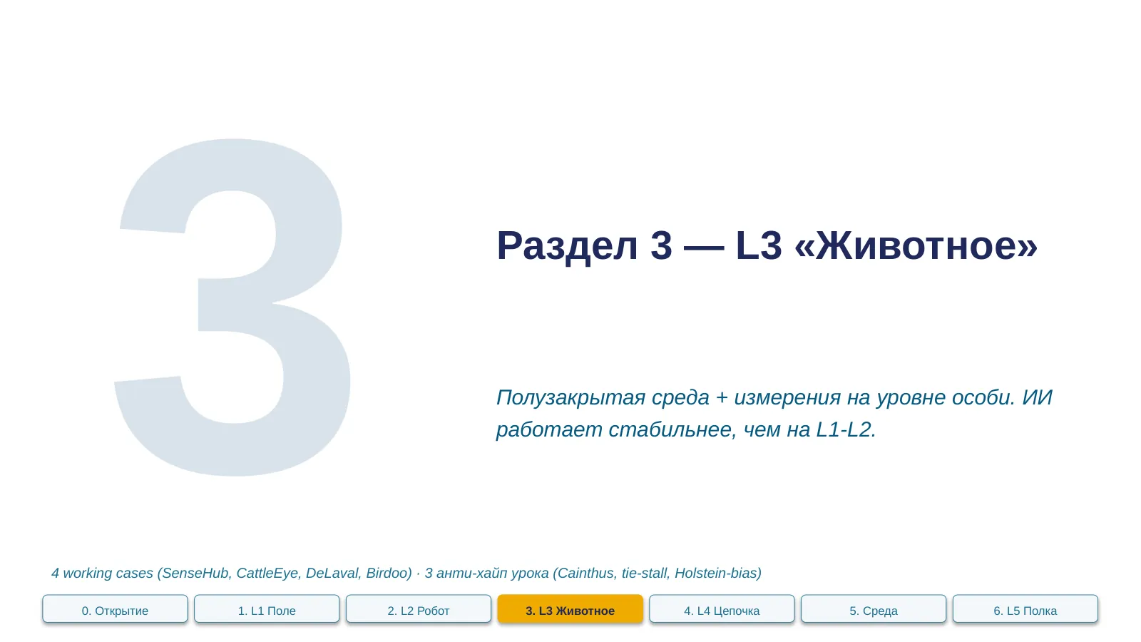 Слайд 22. Раздел 3 divider